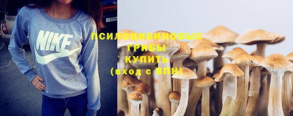 гидра Кодинск