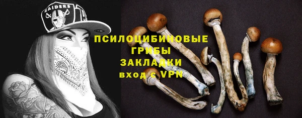ГАЛЛЮЦИНОГЕННЫЕ ГРИБЫ Абдулино