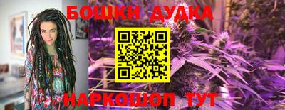 прущие грибы Ярославль