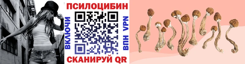 Псилоцибиновые грибы мицелий  Краснокамск 